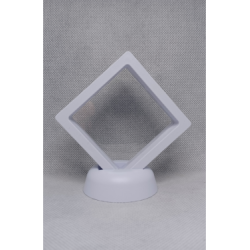 Witte Munten Display 7x7 cm - 10 cm Hoog