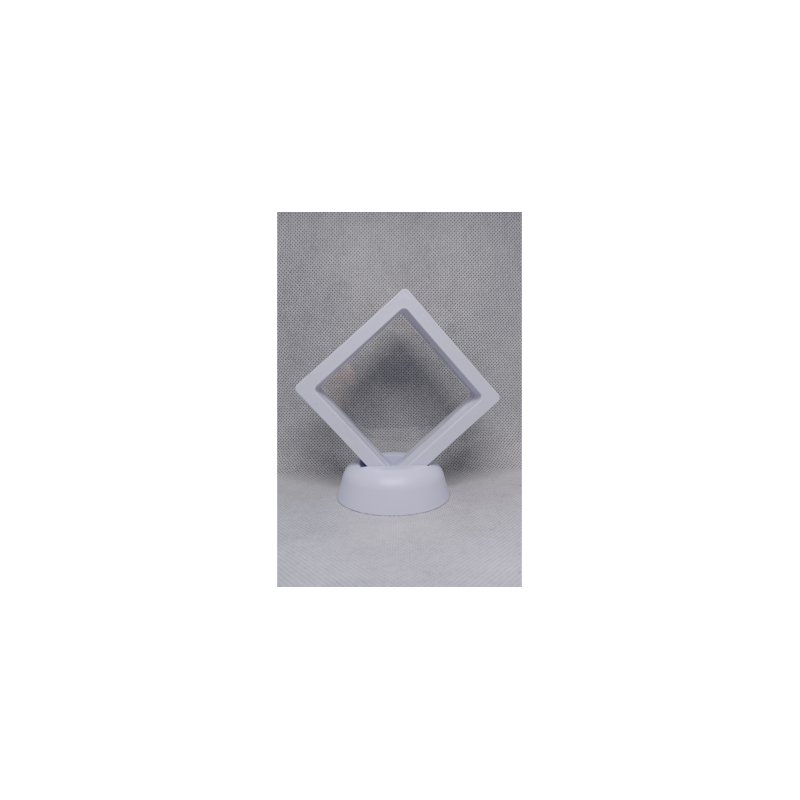 Witte Munten Display 7x7 cm - 10 cm Hoog