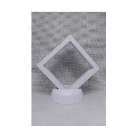 Witte Munten Display 7x7 cm - 10 cm Hoog