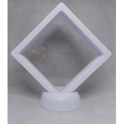 Witte Munten Display 9x9 cm - 13 cm Hoog