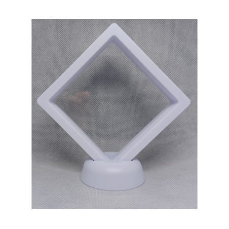 Witte Munten Display 9x9 cm - 13 cm Hoog