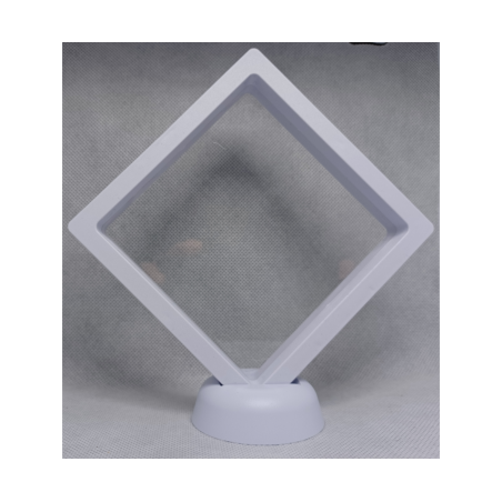 Witte Munten Display 11x11 cm - 16 cm Hoog