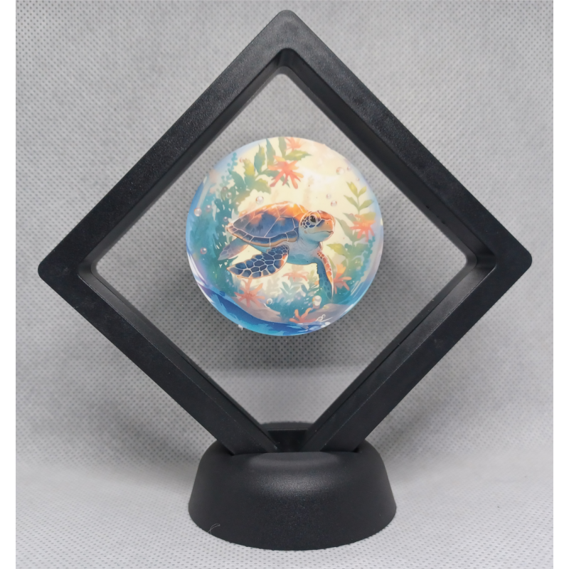 Schildpad - Zwarte Display 9x9 met sticker - Rond