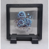 3 Blauwe Rozen - Vierkante Zwarte Display 9x9 met sticker