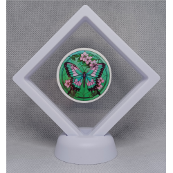 Groen Roze Vlinder - Witte Display 9x9 met een vlinder sticker