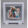 Draak Wetenschapper - Vierkante Witte Display 9x9 met draken sticker