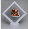 Puppy Merry Christmas - Witte Display 9x9 met een kerst sticker