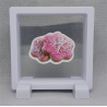 Roze koeken - Vierkante Zwarte Display 9x9 met kerst sticker