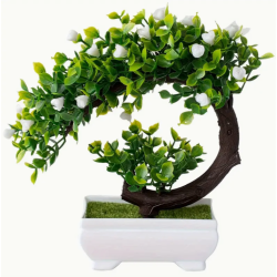 Bonsai - C witte bloemen