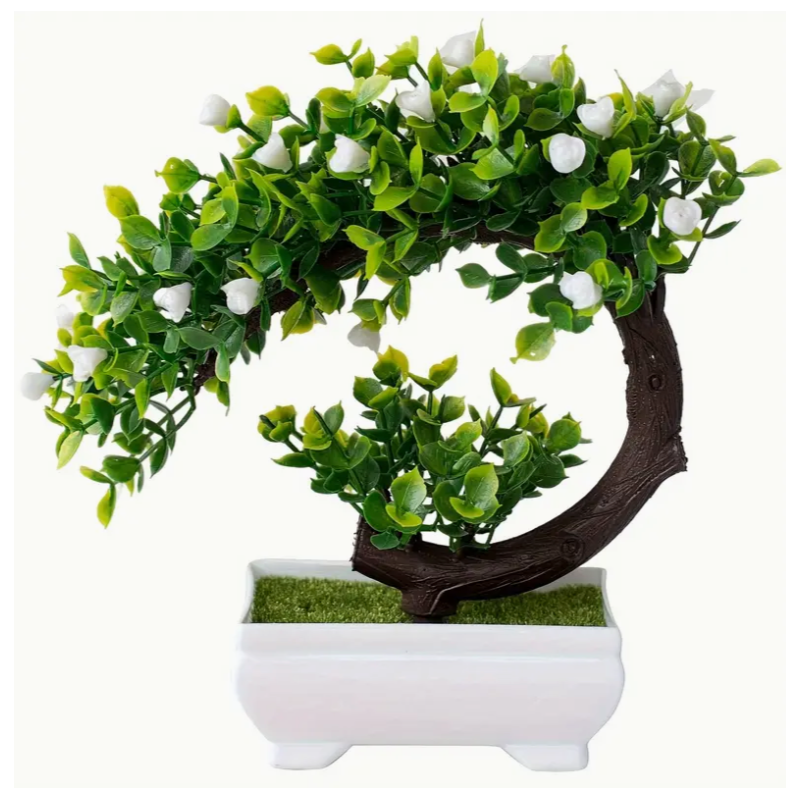 Bonsai - C witte bloemen