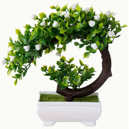 Bonsai - C witte bloemen