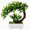 Bonsai - C witte bloemen