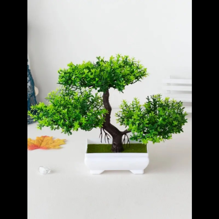 Bonsai - Klassiek Model 26 x 18,5 cm