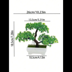 Bonsai - Klassiek Model 26 x 18,5 cm - Afmetingen