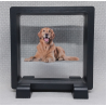 Bruine Labrador - Vierkante Zwarte Display 9x9 met honden sticker