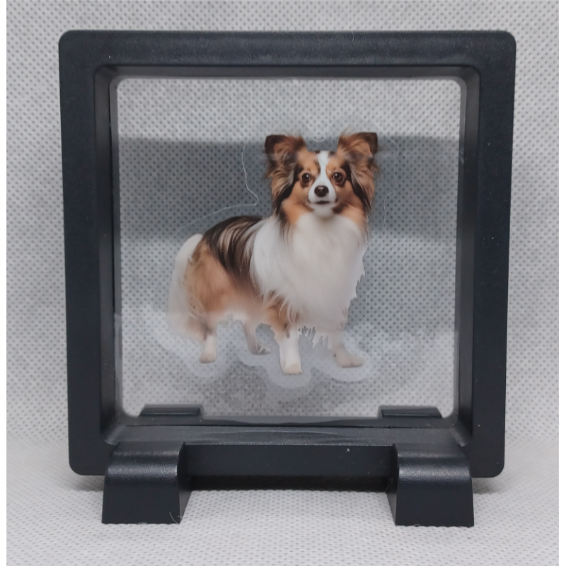 Chihuahua - Vierkante Zwarte Display 9x9 met honden sticker