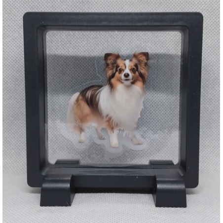 Chihuahua - Vierkante Zwarte Display 9x9 met honden sticker