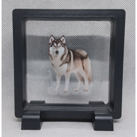 Husky - Vierkante Zwarte Display 9x9 met honden sticker