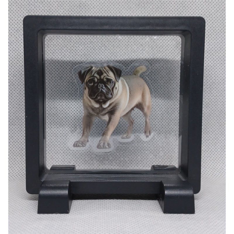 Mopshond - Vierkante Zwarte Display 9x9 met honden sticker