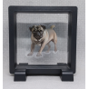 Mopshond - Vierkante Zwarte Display 9x9 met honden sticker