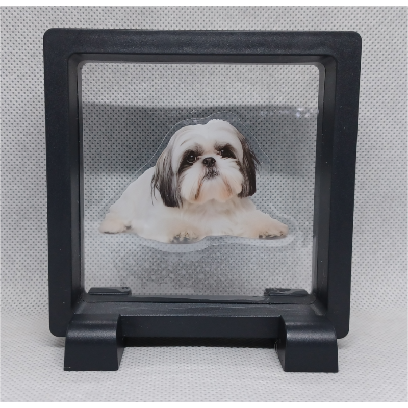 Shih Tzu - Vierkante Zwarte Display 9x9 met honden sticker