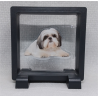 Shih Tzu - Vierkante Zwarte Display 9x9 met honden sticker