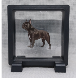 Bulldog - Vierkante Zwarte Display 9x9 met honden sticker