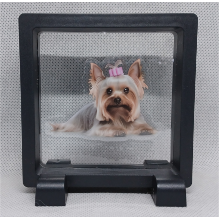 Yorkshire Terrier - Vierkante Zwarte Display 9x9 met honden sticker