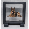 Duitse Herder - Vierkante Zwarte Display 9x9 met honden sticker