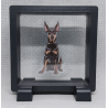 Dobermann - Vierkante Zwarte Display 9x9 met honden sticker