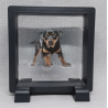 Rottweiler - Vierkante Zwarte Display 9x9 met honden sticker