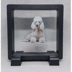 Franse Poedel - Vierkante Zwarte Display 9x9 met honden sticker