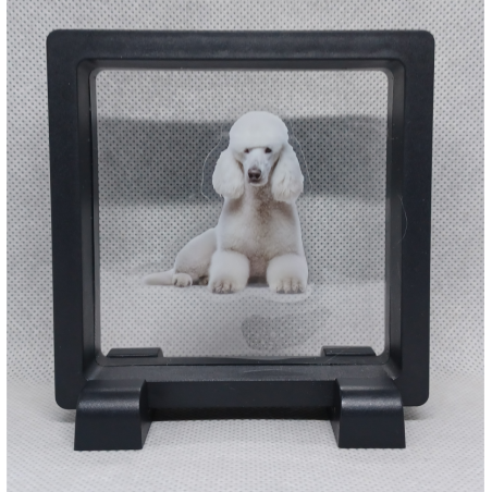 Franse Poedel - Vierkante Zwarte Display 9x9 met honden sticker