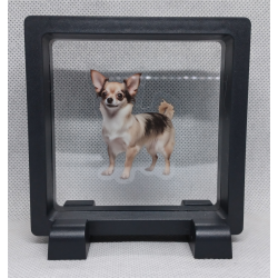 Kleine Chihuahua - Vierkante Zwarte Display 9x9 met honden sticker