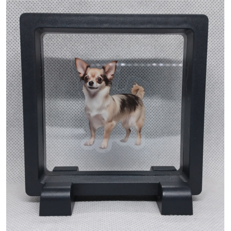 Kleine Chihuahua - Vierkante Zwarte Display 9x9 met honden sticker