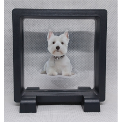 West Highland Terrier - Vierkante Zwarte Display 9x9 met honden sticker