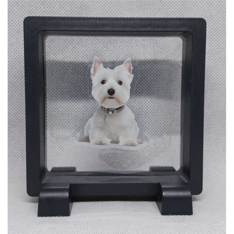 West Highland Terrier - Vierkante Zwarte Display 9x9 met honden sticker