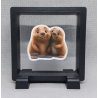 Bevers - Vierkante Zwarte Display 9x9 met duo dieren sticker