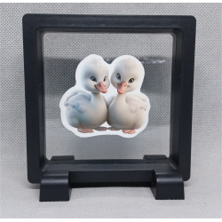 Witte Eenden - Vierkante Zwarte Display 9x9 met duo dieren sticker