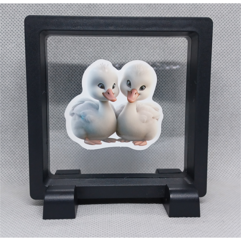 Witte Eenden - Vierkante Zwarte Display 9x9 met duo dieren sticker