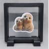 Otters - Vierkante Zwarte Display 9x9 met duo dieren sticker