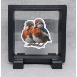 Gekleurde Eenden - Vierkante Zwarte Display 9x9 met duo dieren sticker