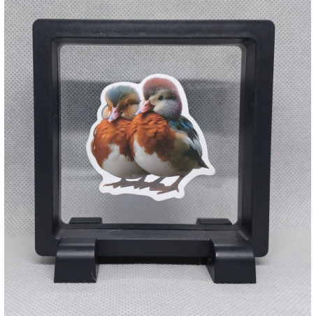 Gekleurde Eenden - Vierkante Zwarte Display 9x9 met duo dieren sticker