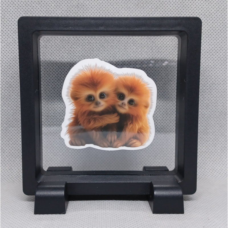 Aapjes - Vierkante Zwarte Display 9x9 met duo dieren sticker