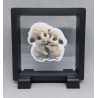 Schaapjes - Vierkante Zwarte Display 9x9 met duo dieren sticker