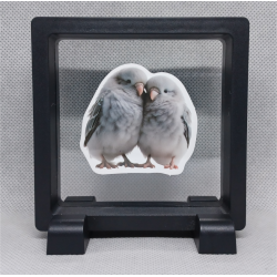 Grijze Vogels - Vierkante Zwarte Display 9x9 met duo dieren sticker