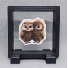 Uilen - Vierkante Zwarte Display 9x9 met duo dieren sticker