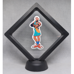 Lebron James - Zwarte Display 11x11 met Space Jam sticker