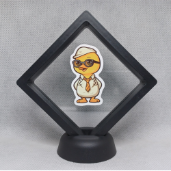 Nerdy Eend - Zwarte Display 9x9 met badeend sticker