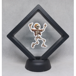 Skelet Mutsie - Zwarte Display 9x9 met Skeletten sticker